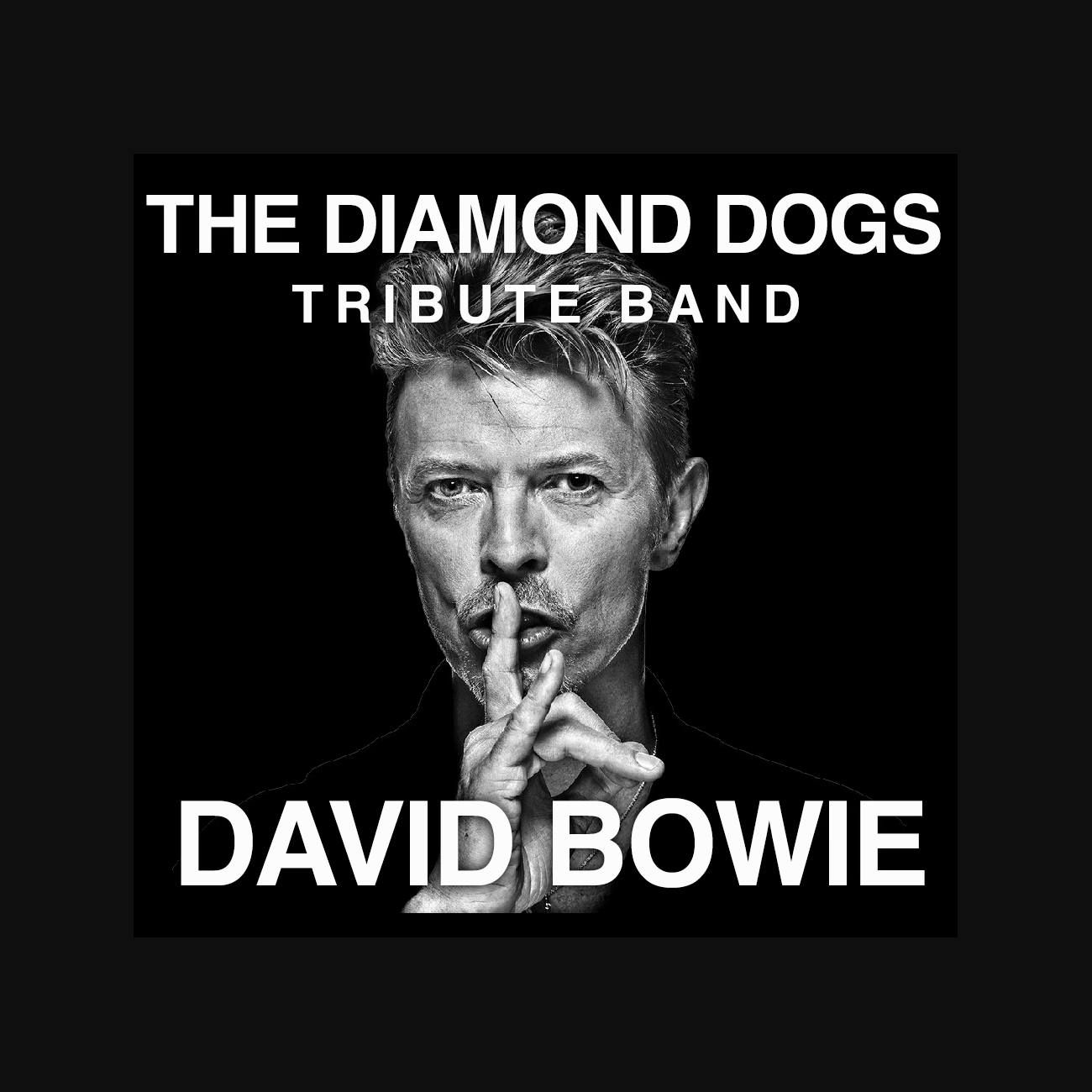 DIAMOND DOGS